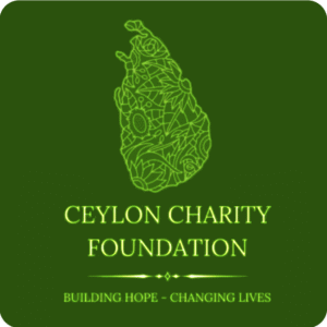 Custom Amount Donation