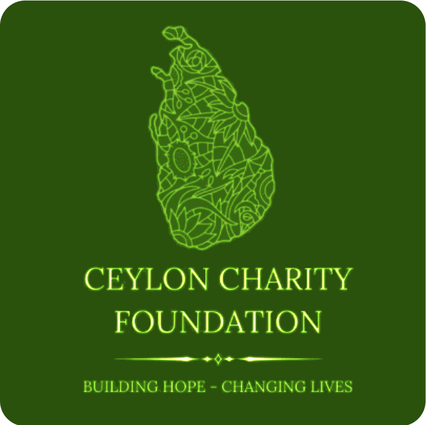 Custom Amount Donation